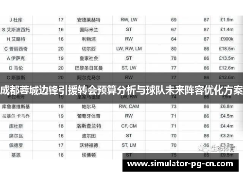 成都蓉城边锋引援转会预算分析与球队未来阵容优化方案 成都蓉城边锋引援转会预算分析与球队未来阵容优化方案