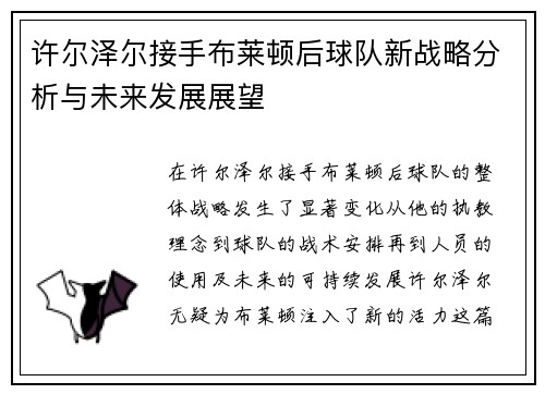 许尔泽尔接手布莱顿后球队新战略分析与未来发展展望